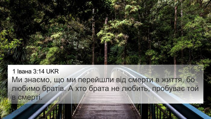 1 Івана 3:14 UKR Bible Verse Image