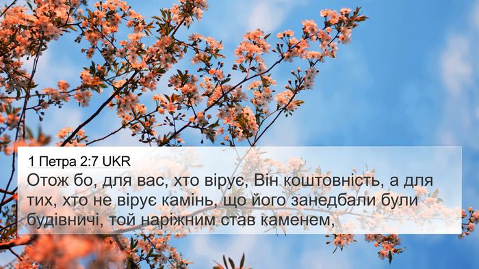 1 Петра 2:7 UKR Bible Verse Image