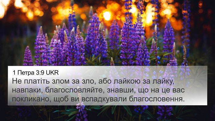 1 Петра 3:9 UKR 4K Wallpaper - Не платіть злом за зло, або - 4K Wallpaper Bible Verse