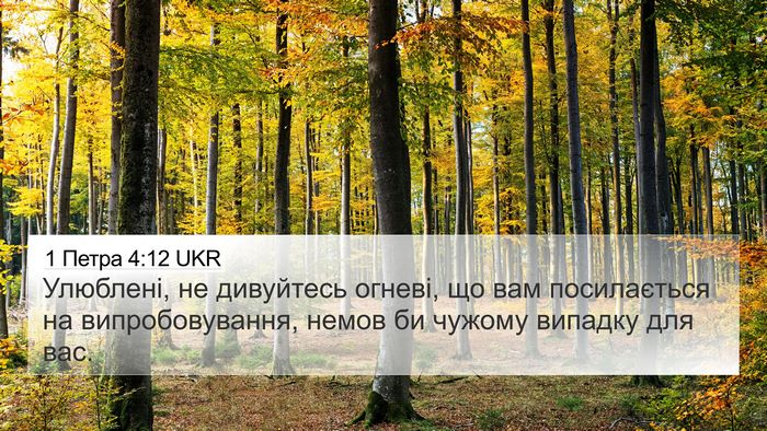 1 Петра 4:12 UKR 4K Wallpaper - Улюблені, не дивуйтесь - 4K Wallpaper Bible Verse