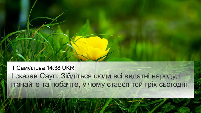 1 Самуїлова 14:38 UKR Bible Verse Image