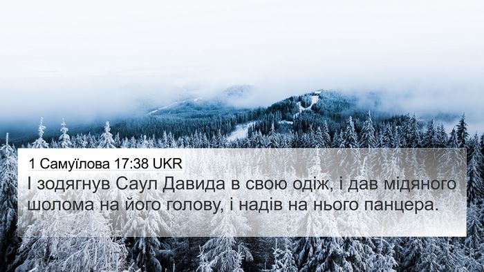 1 Самуїлова 17:38 UKR Bible Verse Image