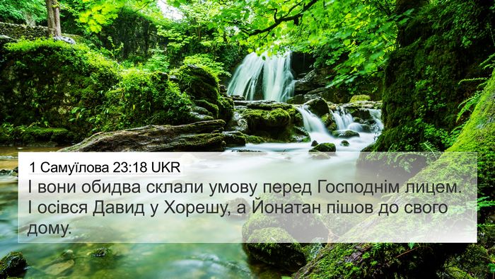 1 Самуїлова 23:18 UKR Bible Verse Image