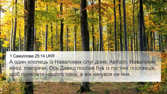 1 Самуїлова 25:14 UKR Bible Verse Image