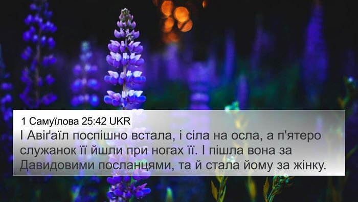 1 Самуїлова 25:42 UKR Bible Verse Image