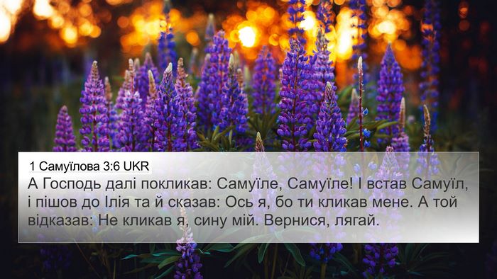 1 Самуїлова 3:6 UKR Bible Verse Image