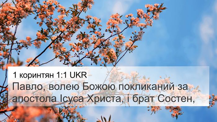 1 коринтян 1:1 UKR Bible Verse Image