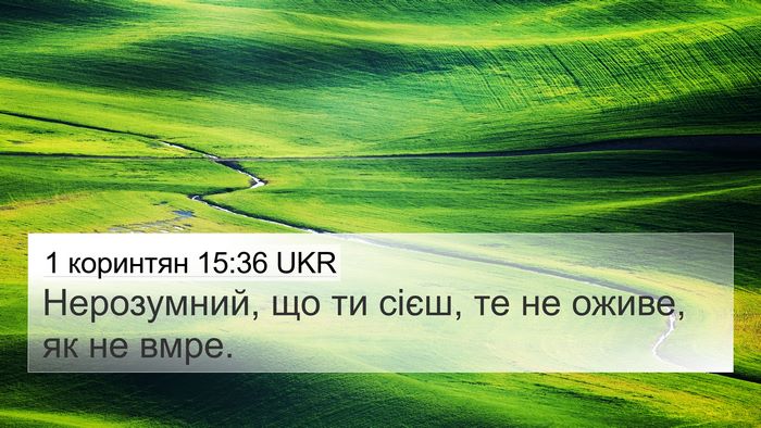 1 коринтян 15:36 UKR Bible Verse Image