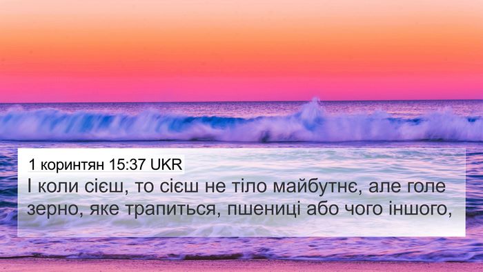 1 коринтян 15:37 UKR Bible Verse Image