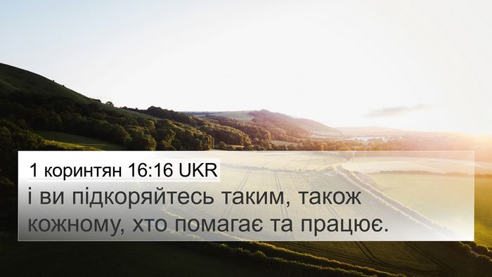 1 коринтян 16:16 UKR 4K Wallpaper - і ви підкоряйтесь таким, - 4K Wallpaper Bible Verse