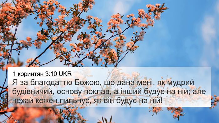 1 коринтян 3:10 UKR Bible Verse Image