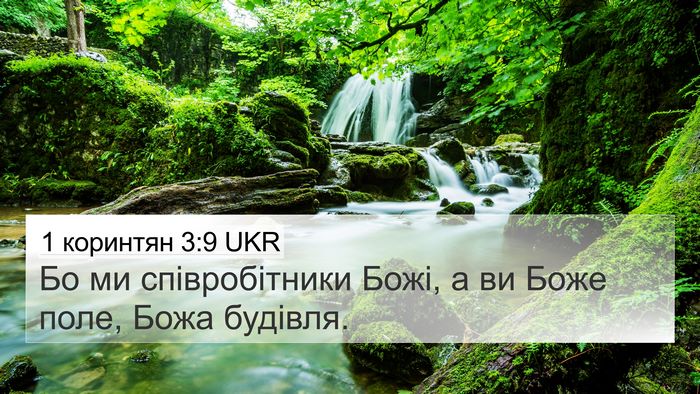 1 коринтян 3:9 UKR Bible Verse Image