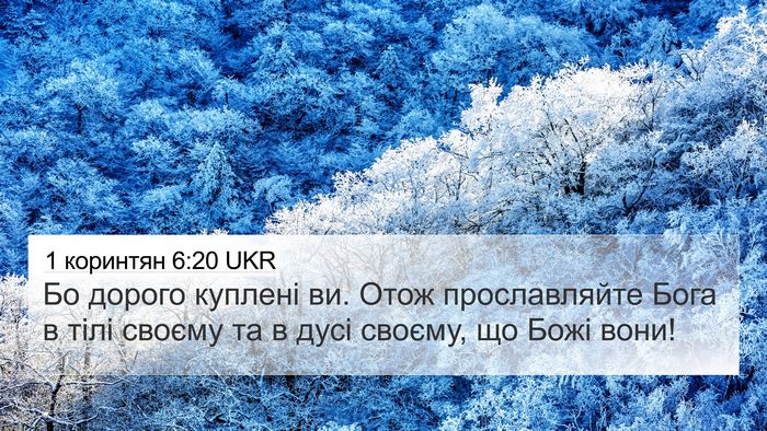 1 коринтян 6:20 UKR Bible Verse Image