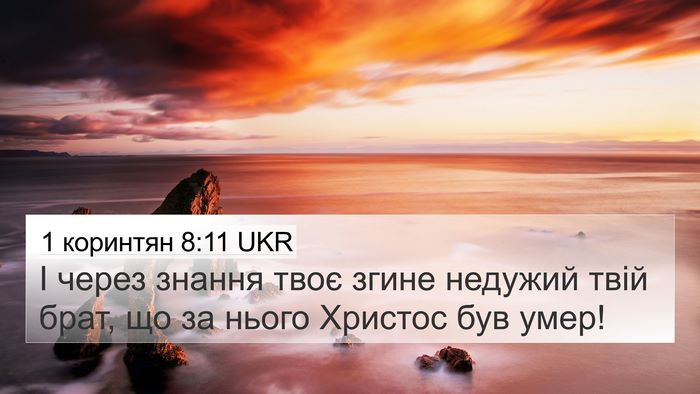 1 коринтян 8:11 UKR Bible Verse Image