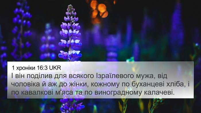 1 хроніки 16:3 UKR Bible Verse Image