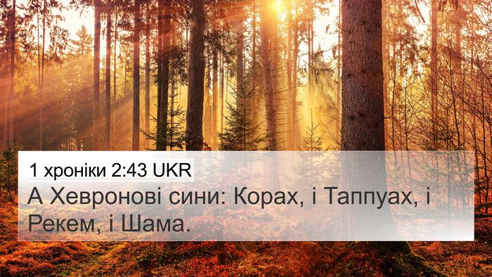 1 хроніки 2:43 UKR 4K Wallpaper - А Хевронові сини: Корах, і - 4K Wallpaper Bible Verse