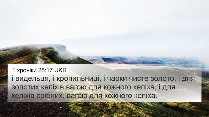 1 хроніки 28:17 UKR Bible Verse Image