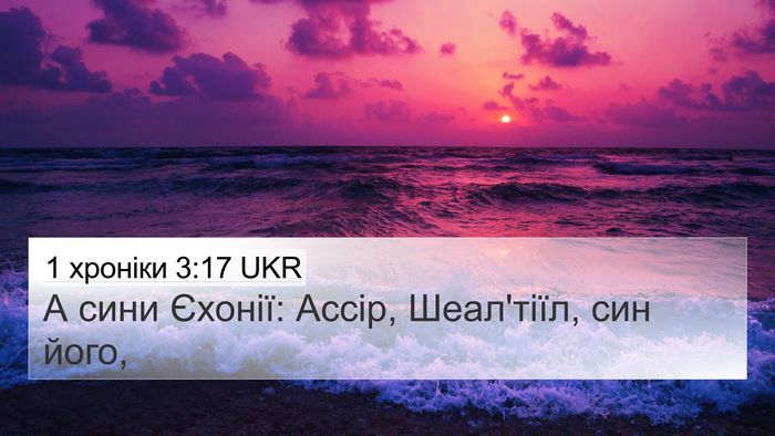 1 хроніки 3:17 UKR Bible Verse Image
