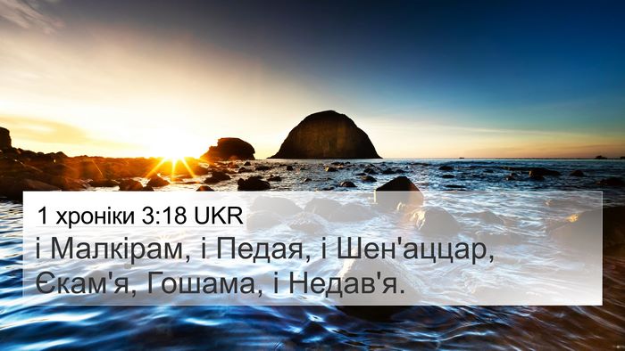 1 хроніки 3:18 UKR 4K Wallpaper - і Малкірам, і Педая, і - 4K Wallpaper Bible Verse