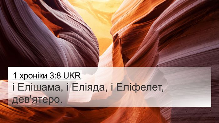 1 хроніки 3:8 UKR Bible Verse Image