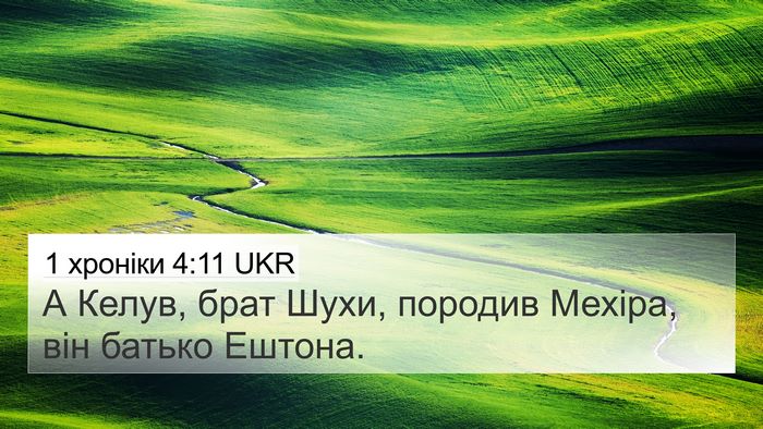1 хроніки 4:11 UKR 4K Wallpaper - А Келув, брат Шухи, породив - 4K Wallpaper Bible Verse