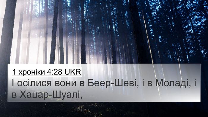 1 хроніки 4:28 UKR Bible Verse Image