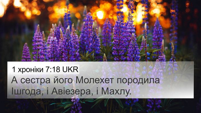 1 хроніки 7:18 UKR Bible Verse Image