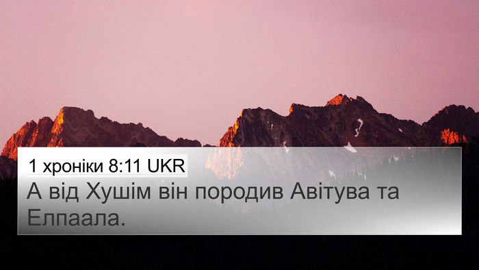1 хроніки 8:11 UKR 4K Wallpaper - А від Хушім він породив - 4K Wallpaper Bible Verse