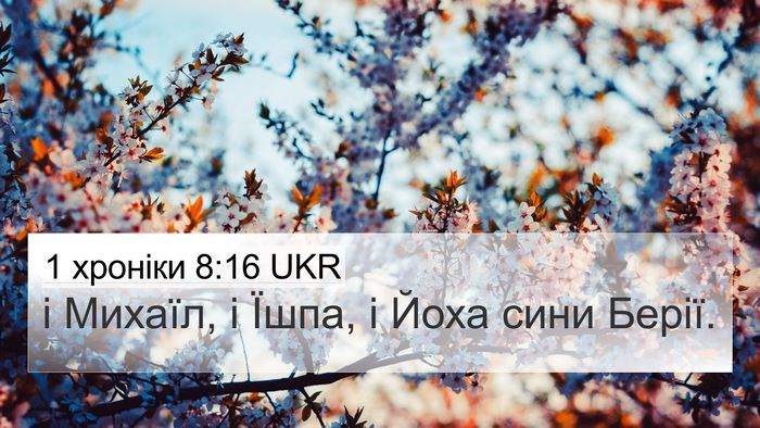 1 хроніки 8:16 UKR 4K Wallpaper - і Михаїл, і Їшпа, і Йоха - 4K Wallpaper Bible Verse