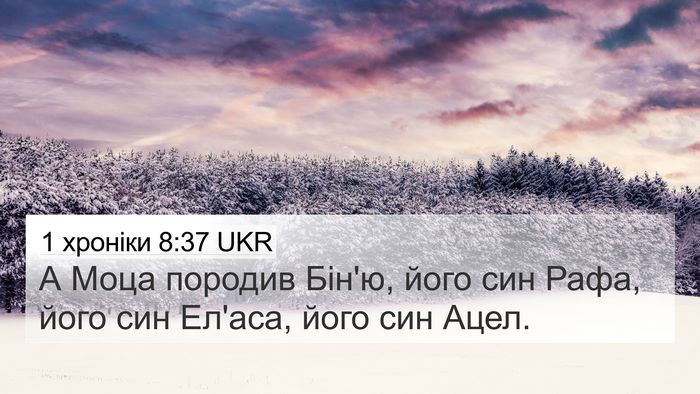 1 хроніки 8:37 UKR Bible Verse Image