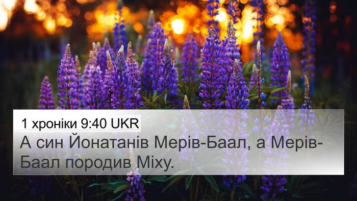 1 хроніки 9:40 UKR Bible Verse Image