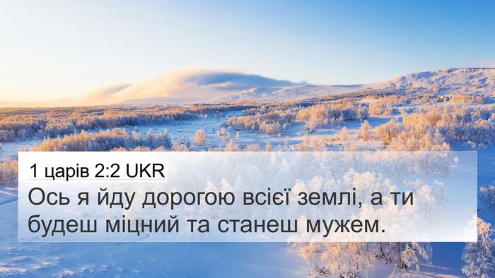 1 царів 2:2 UKR Bible Verse Image