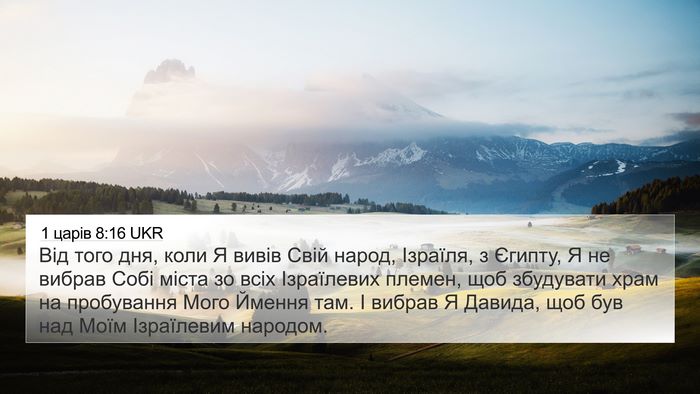 1 царів 8:16 UKR Bible Verse Image
