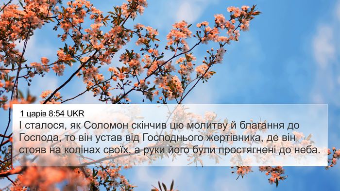 1 царів 8:54 UKR Bible Verse Image