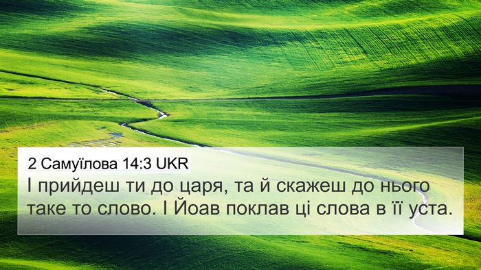 2 Самуїлова 14:3 UKR 4K Wallpaper - І прийдеш ти до царя, та й - 4K Wallpaper Bible Verse