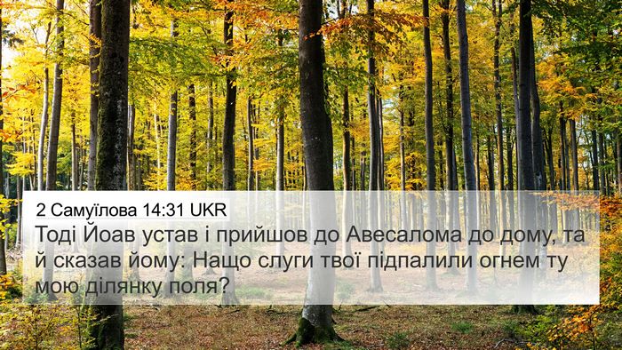 2 Самуїлова 14:31 UKR 4K Wallpaper - Тоді Йоав устав і прийшов - 4K Wallpaper Bible Verse