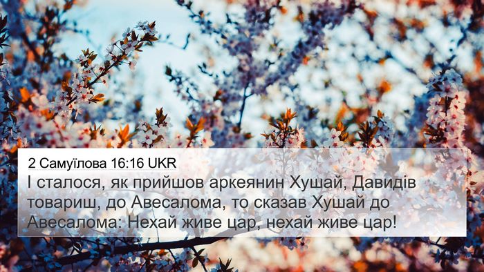 2 Самуїлова 16:16 UKR Bible Verse Image