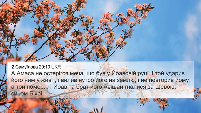 2 Самуїлова 20:10 UKR Bible Verse Image