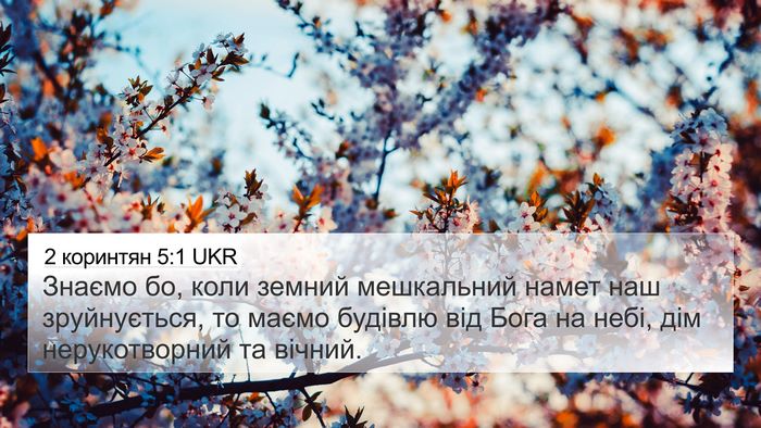 2 коринтян 5:1 UKR Bible Verse Image