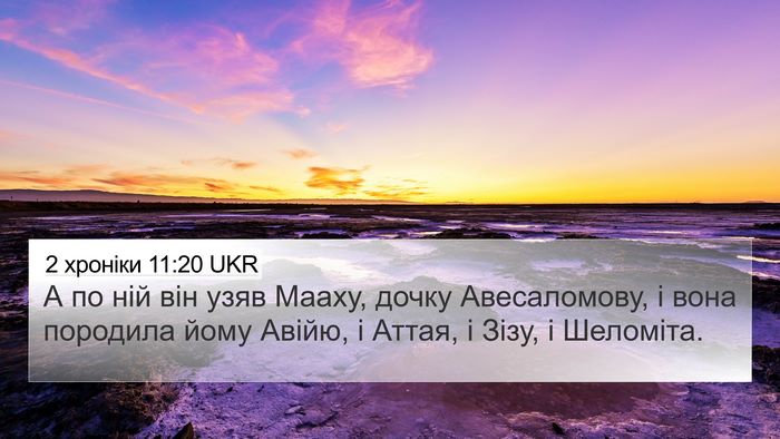 2 хроніки 11:20 UKR Bible Verse Image