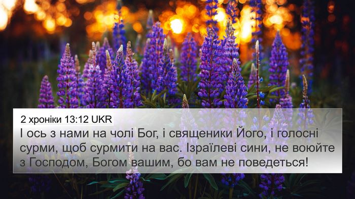 2 хроніки 13:12 UKR Bible Verse Image