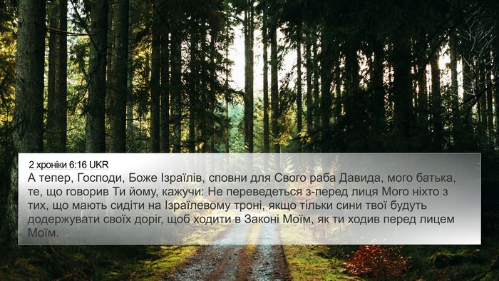 2 хроніки 6:16 UKR Bible Verse Image