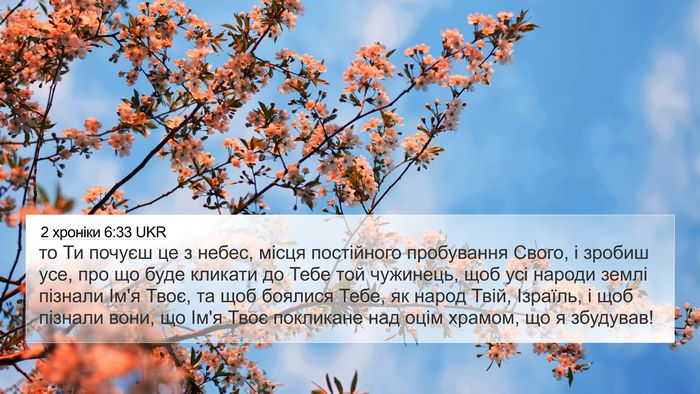 2 хроніки 6:33 UKR Bible Verse Image