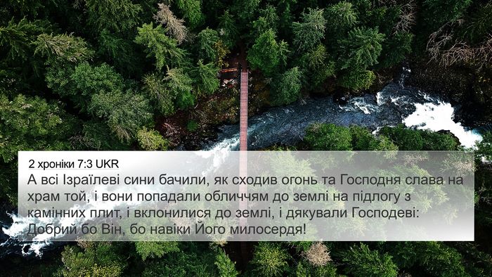 2 хроніки 7:3 UKR Bible Verse Image