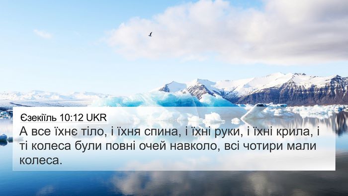 Єзекіїль 10:12 UKR Bible Verse Image