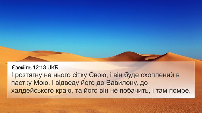 Єзекіїль 12:13 UKR Bible Verse Image