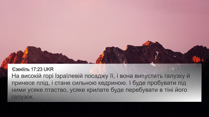 Єзекіїль 17:23 UKR Bible Verse Image
