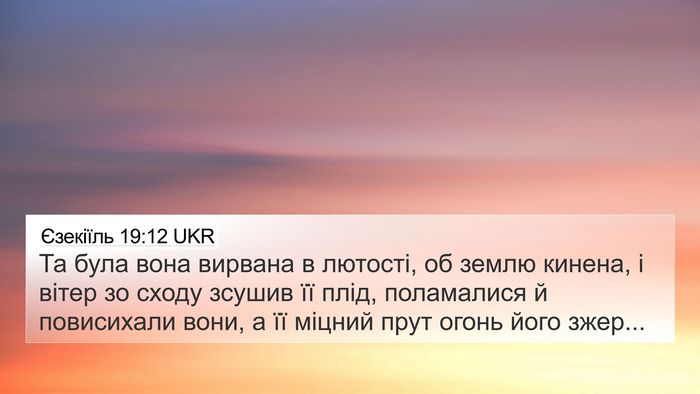 Єзекіїль 19:12 UKR Bible Verse Image