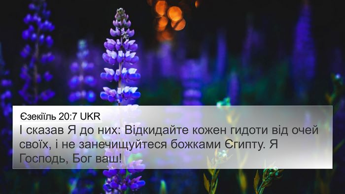 Єзекіїль 20:7 UKR Bible Verse Image