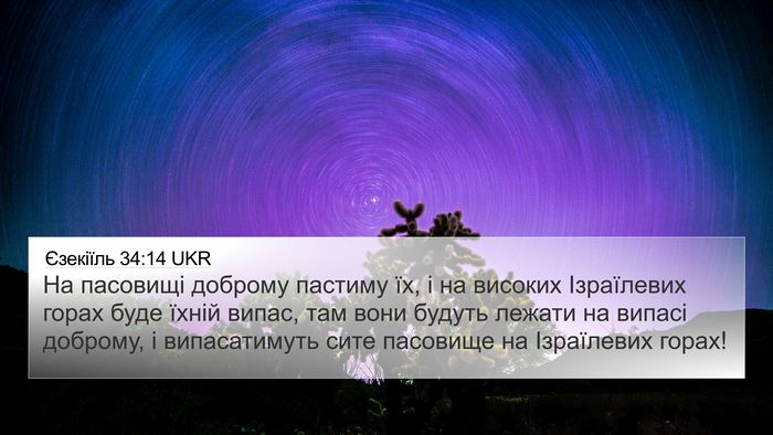 Єзекіїль 34:14 UKR Bible Verse Image